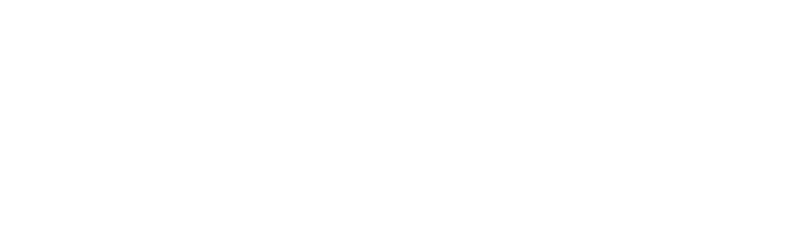 Linea-Sunman Solar-logo-primary-white